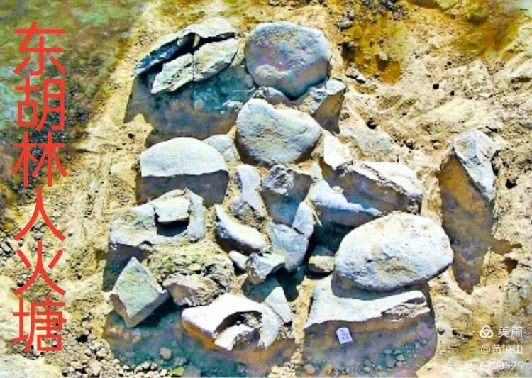 黄镇山：世界陶稻黍文明起源中国万年前