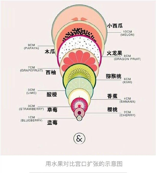 总说生孩子要“开十指”，开十指到底是啥概念？一张图帮你看明白