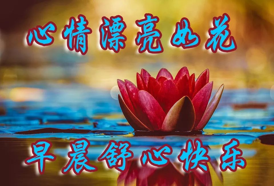 今日最新早上好动图表情包祝福图集 早安吉祥、心想事成、万事如意图片