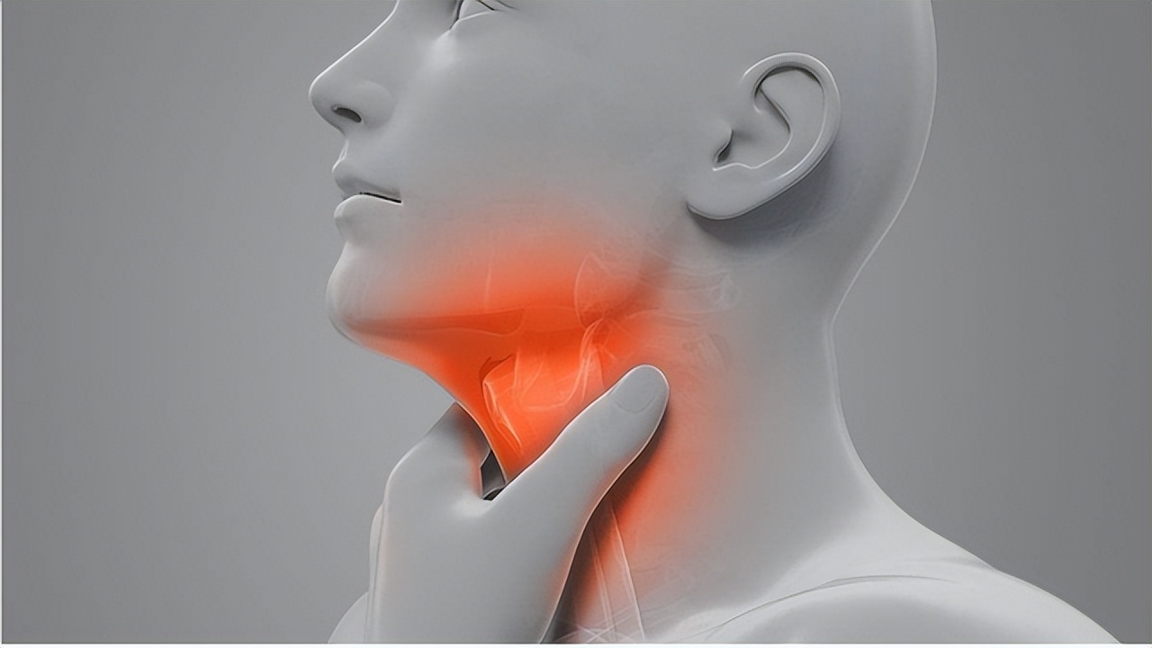 喉咙在什么位置图片(肺部出问题) - 赤虎壹号