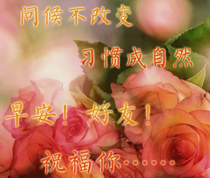 周三早上好祝福图片 微信早上好问候语 早安朋友，有你真好图片