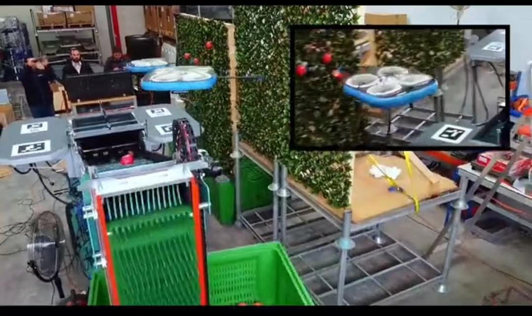 以色列采摘水果不用手24小时作业，AI无人机提高生产效率，长啥样