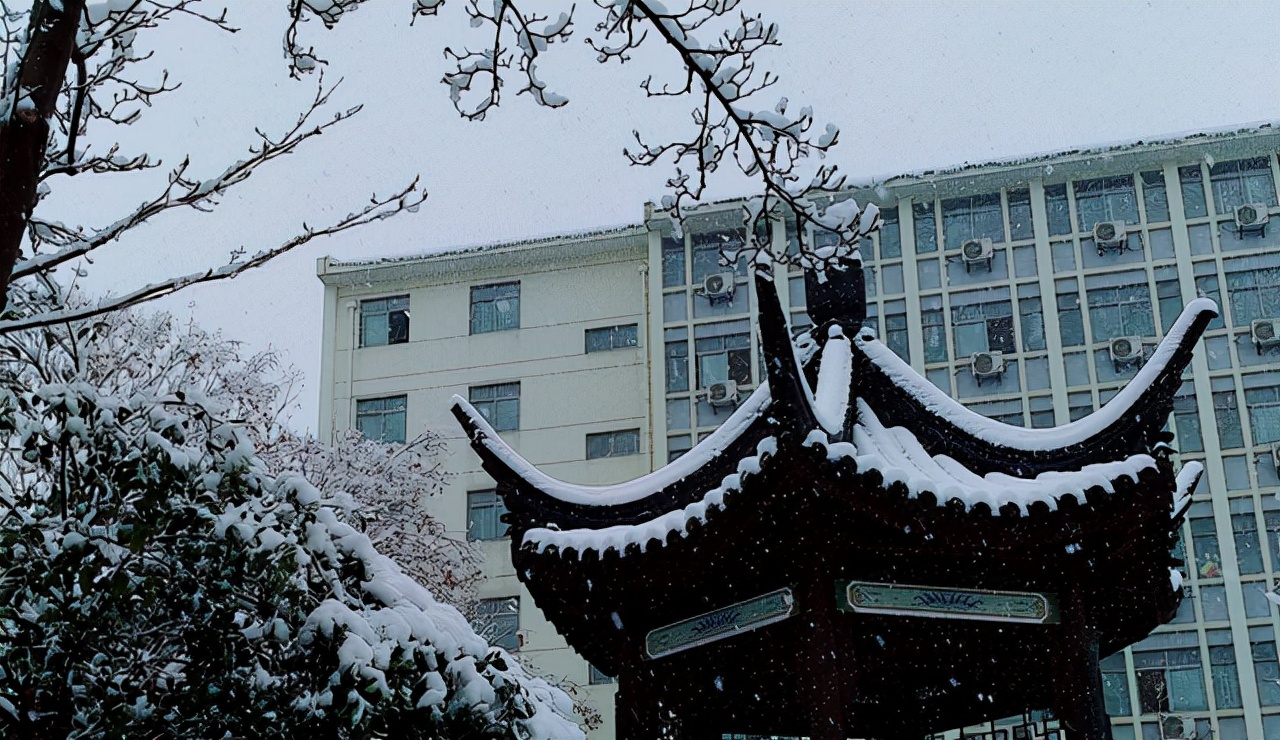 江苏省8所大学新增院士：东南3人、南理2人，有2所为双非大学