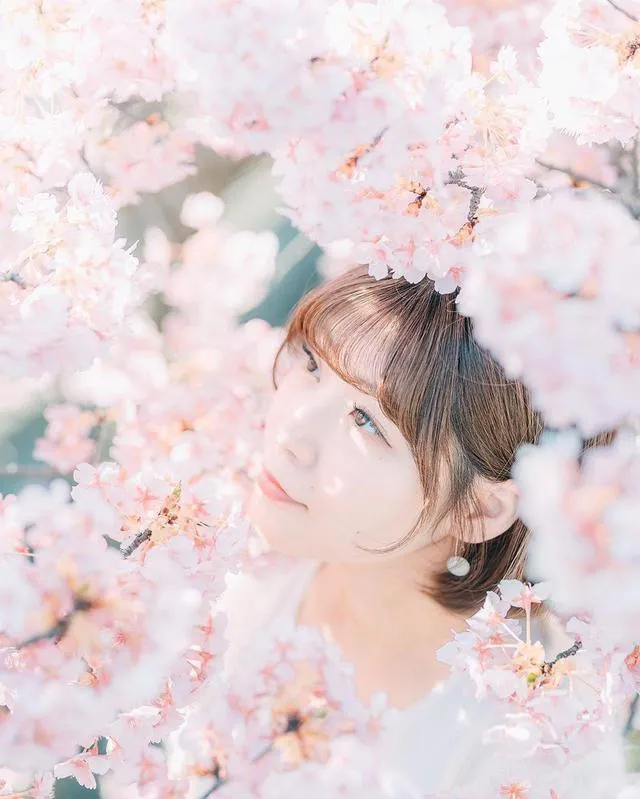 清新唯美的樱花人像