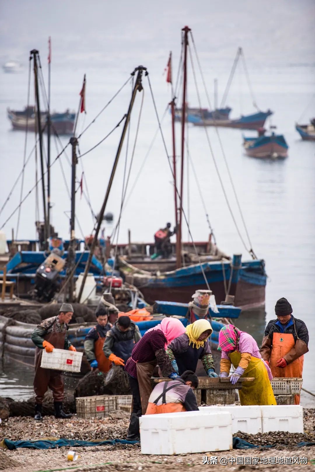 �й����ʴ�ʡ��ô�࣬����������óԣ�