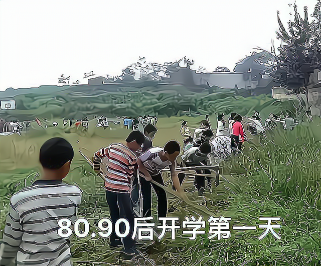 学校图（一组开学图片曝光）
