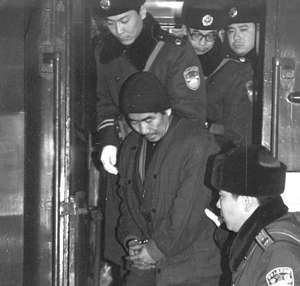 1993年中俄列车被洗劫六天六夜乘客惨遭殴打，中央：跨国追捕罪犯