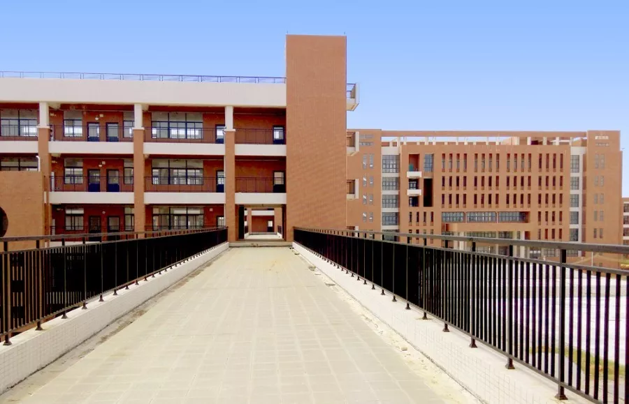 “医学热”又来了？学考想考医学专业，重点关注广东这12所院校