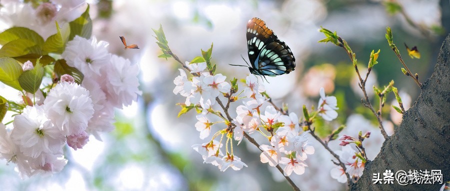 公司不签劳动合同离职怎么赔偿