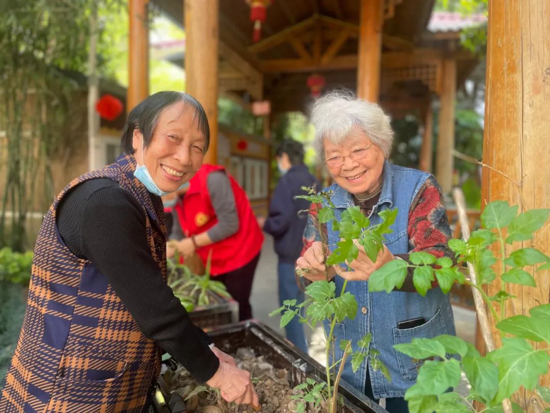 耶！养老院里的开心农场