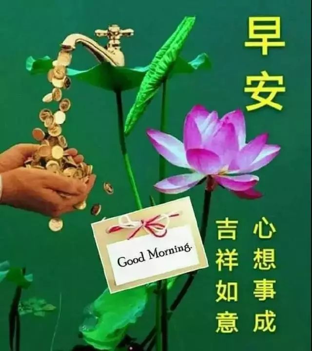 早上好温馨动态图片表情包 美好的今天带给你满满的幸福与快乐图片