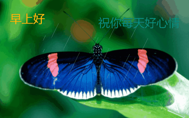 2022春天最新早上好问候早安祝福图片温馨带字 微笑不要钱却很值钱图片