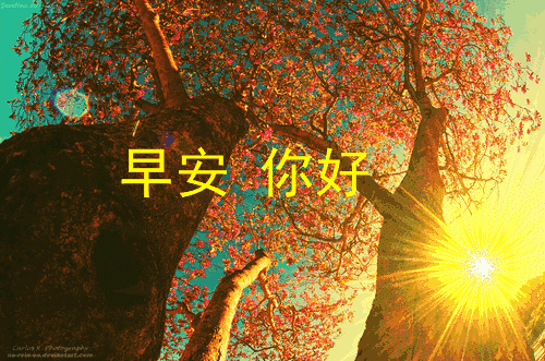 微信最新早上好问候语句，人生万里路，走好每一步图片