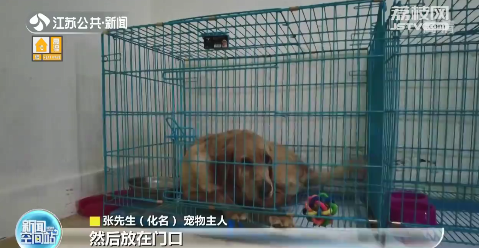 暖心！无锡现&ldquo;宠物方舱&rdquo;专门收容涉疫宠物
