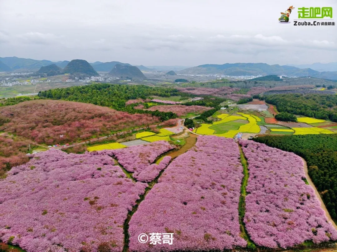 快开啦！这些地方的春景正在悄悄席卷全国，大气又美丽，别错过