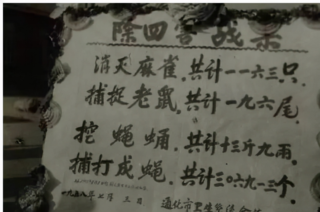 建国初期的捕鼠运动：调墨油粘鼠，双簧钢丝夹鼠，老鼠屁股塞花椒