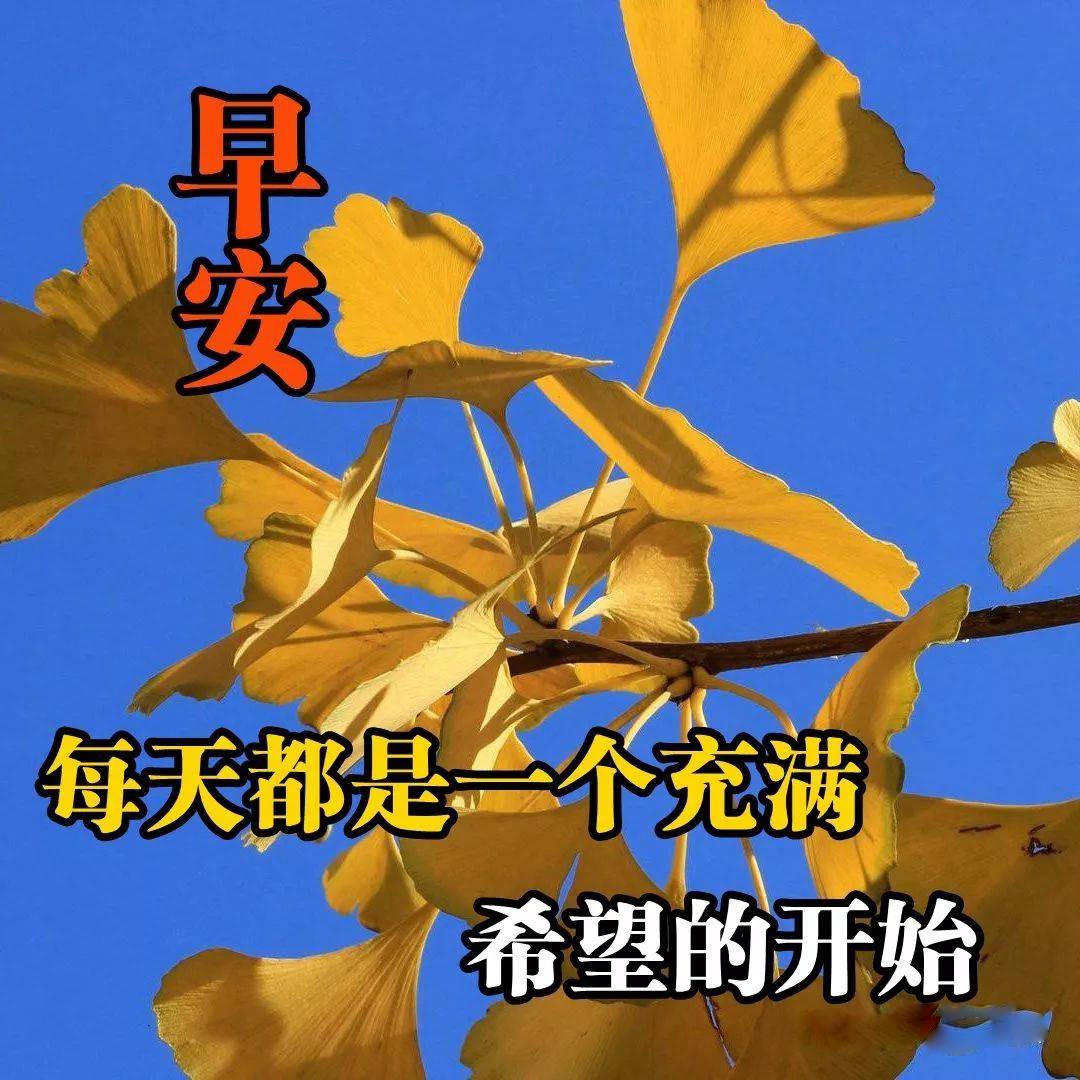 朋友圈早上好祝福语，句句贴心，温暖真诚，新的一天快乐如意图片
