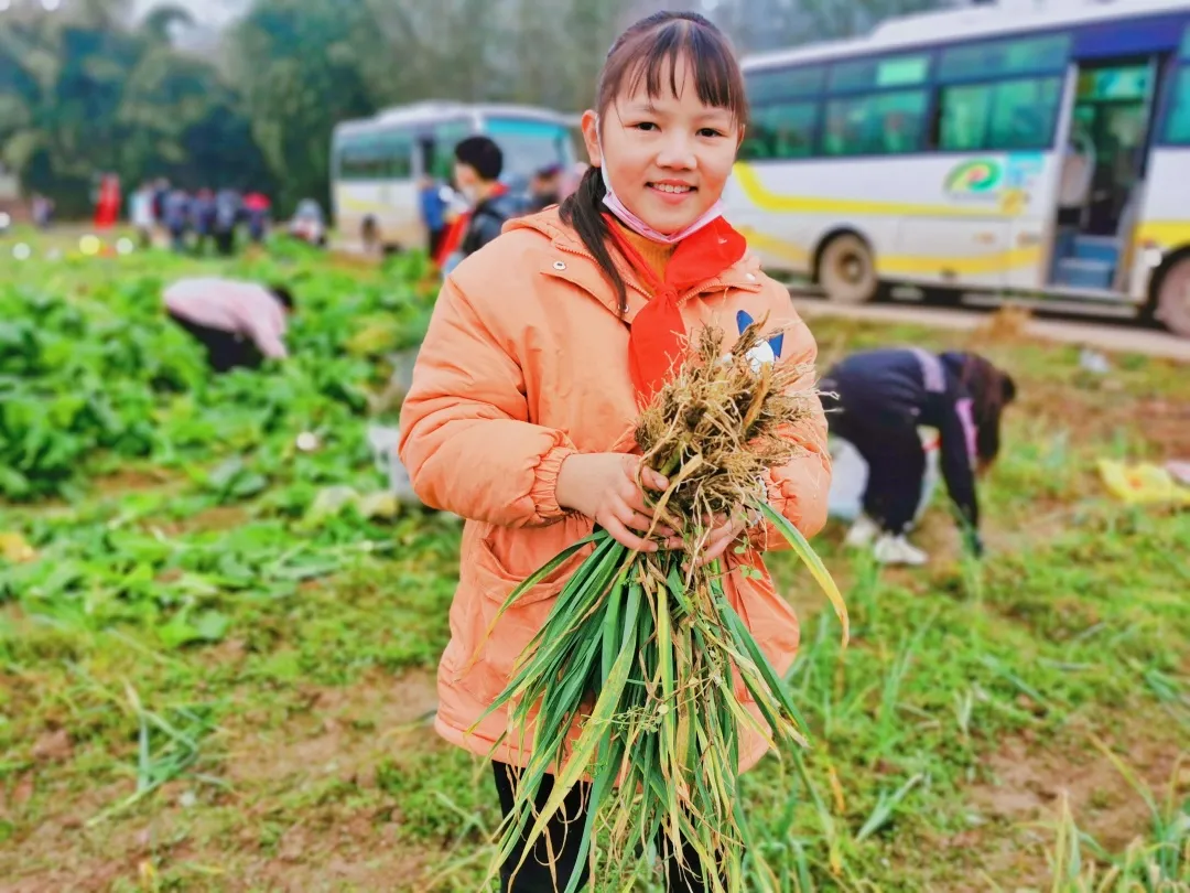 「城南小学•德育工作」小基地大收获 劳动实践快乐多