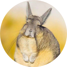 跑古装剧里抗倭？大可不必