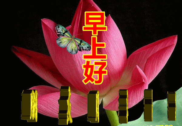 周六最美早上好图片动态大图带字 开心周末、快乐每一天图片
