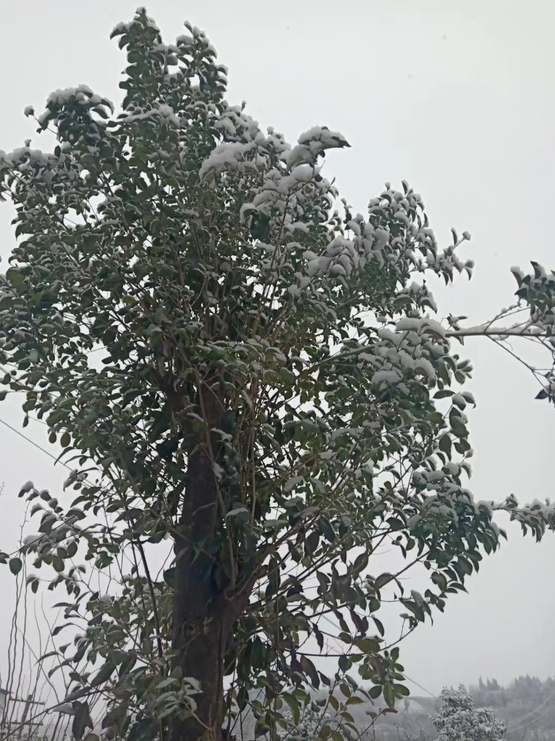 忙而有度，闲而不隋，人生在世，顺其自然