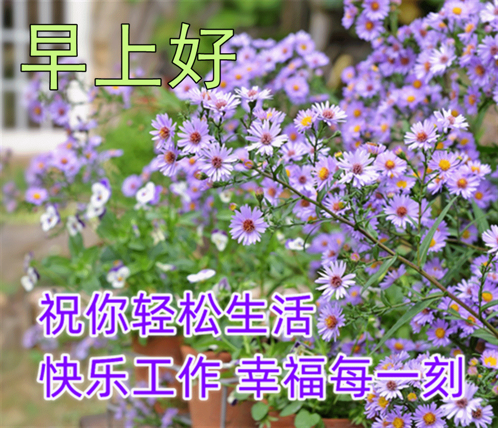 清晨暖心的早安问候祝福语短信 最好的快乐是平安 最好的平安是健康图片