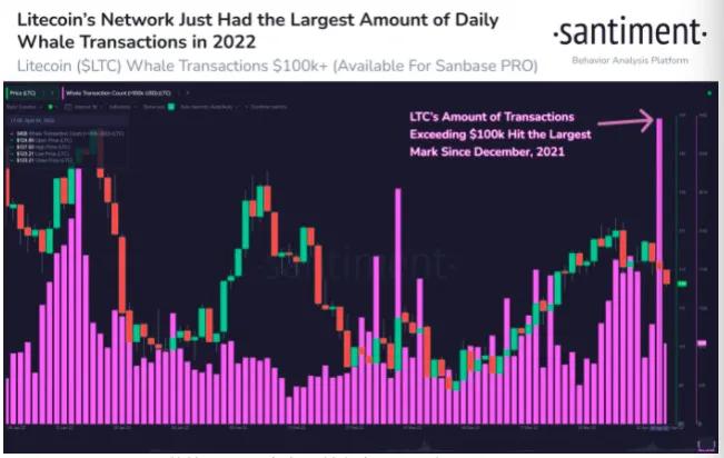 随着 LTC 鲸鱼活动飙升至月度高点，莱特币价格有下跌 20% 的风险