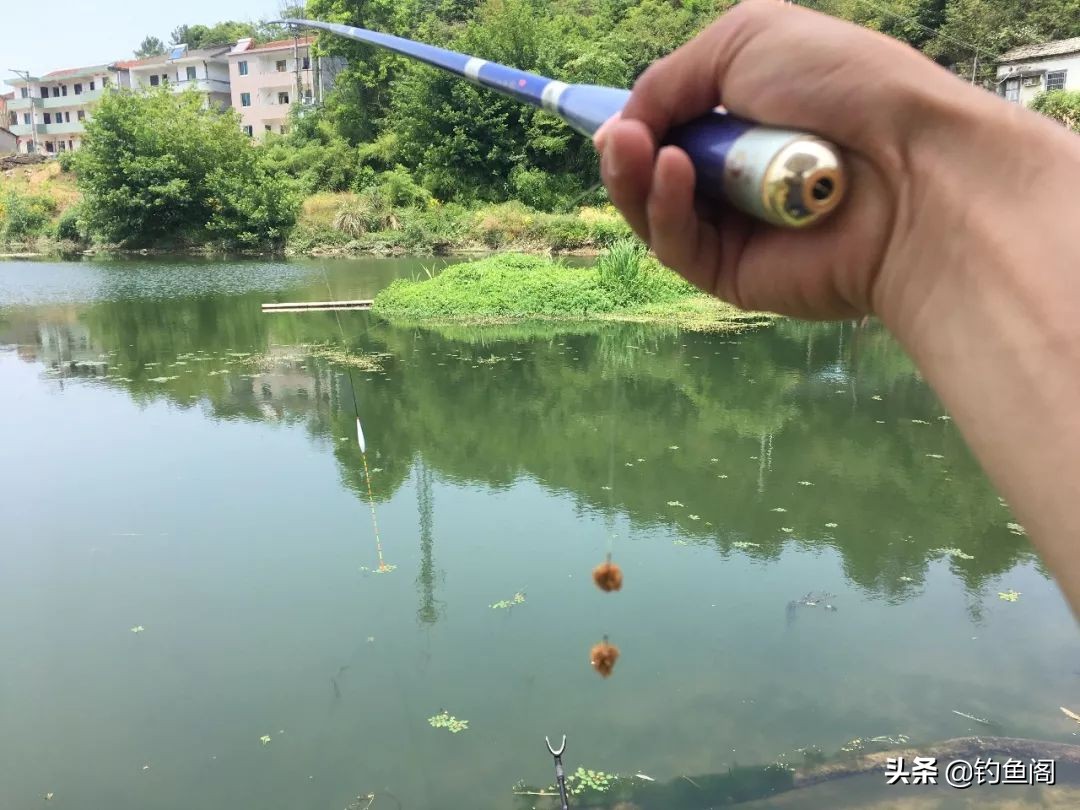 浮漂就该这样选！只要记住这2种漂型，野钓黑坑都没问题