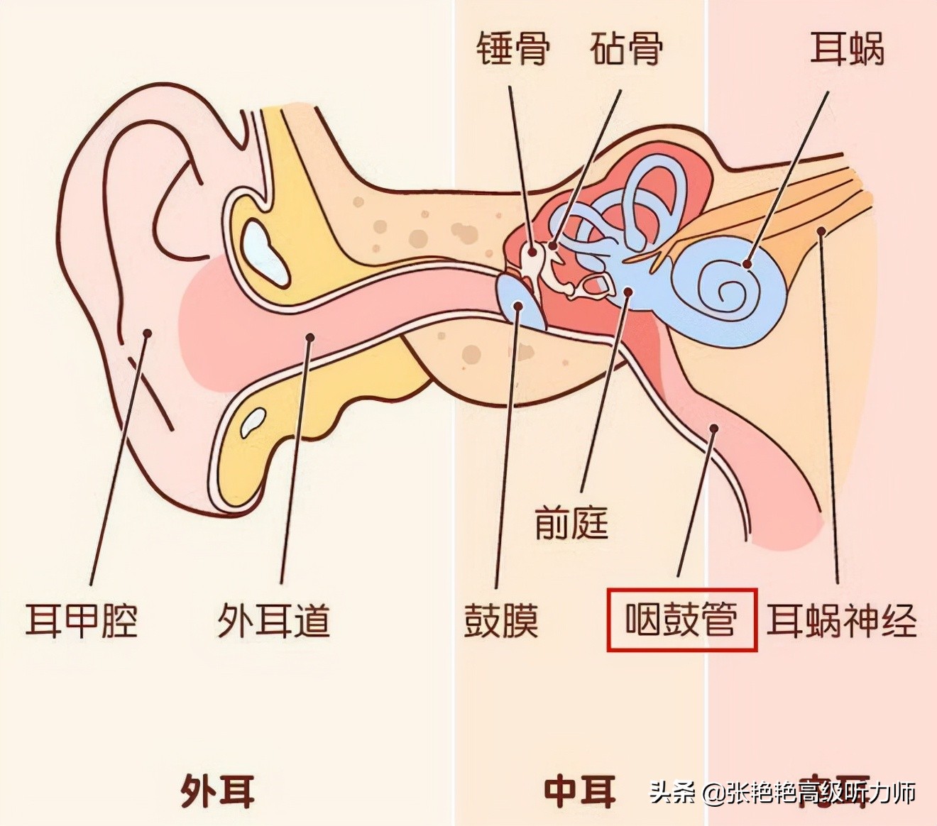 鼻塞耳朵闷堵是怎么回事(感冒鼻子堵塞时) - seo葵花宝典