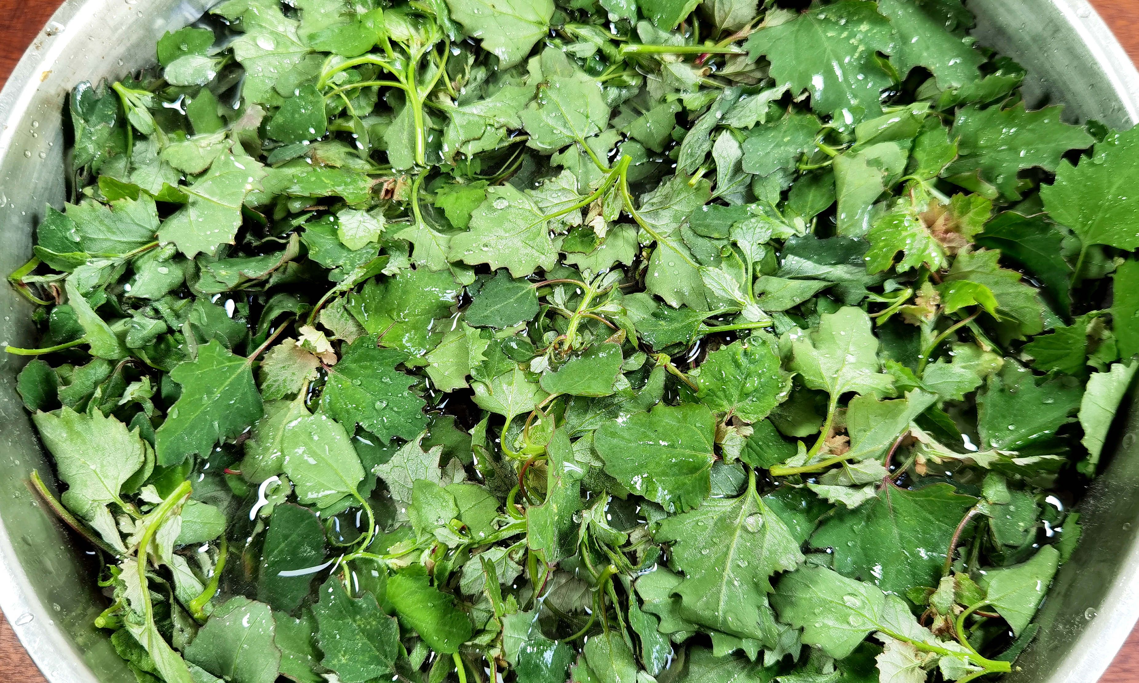 灰灰菜怎么吃(灰灰菜怎么吃法)