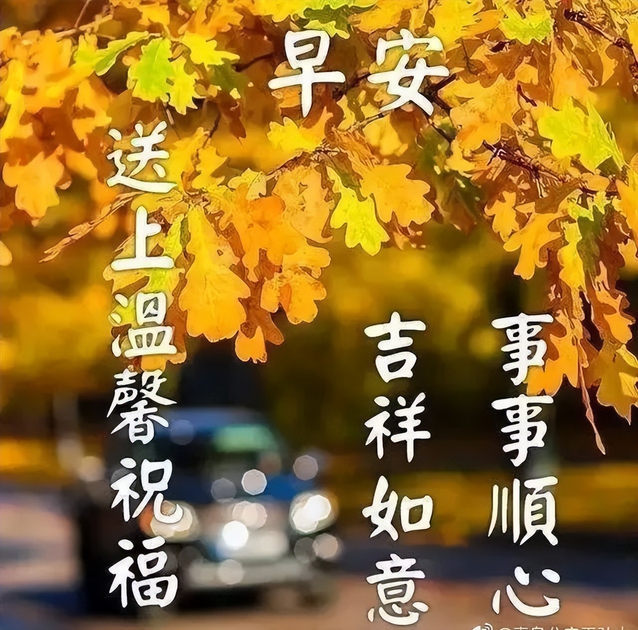 早上好表情动态祝福,甜甜的问候,开心快乐送给你，祝你开心每一天图片