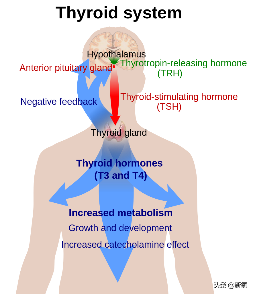是给的太多了么？她俩之前可是厌恶舞台到顶级巡演都缺席不去…