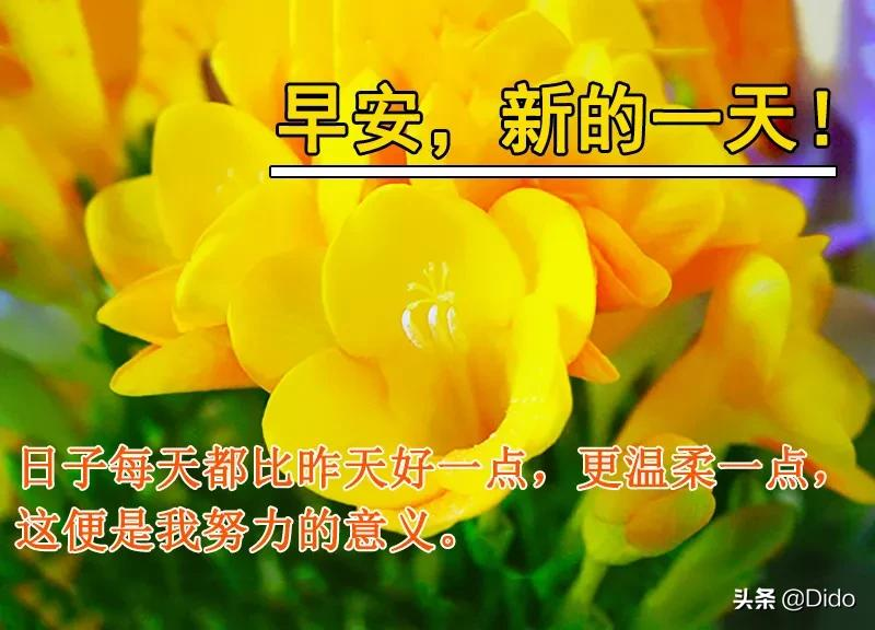 微信最美早晨问候图片带字,这世界充满爱,别走悲惨的路