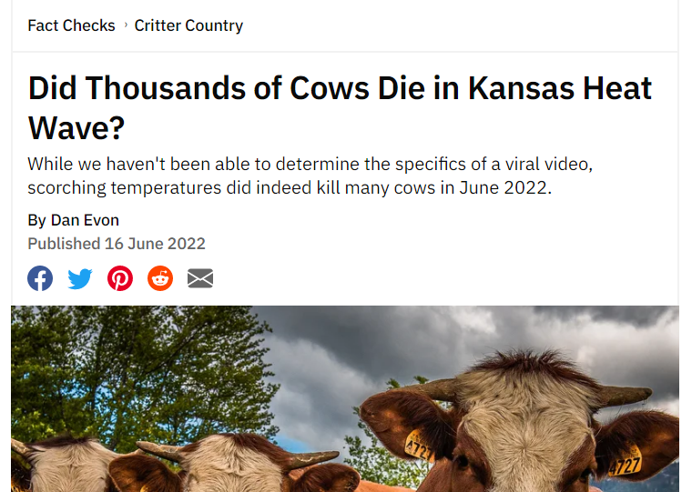 网传“美国堪萨斯州牛群被植入芯片，被集体屠杀”？纯属谣言