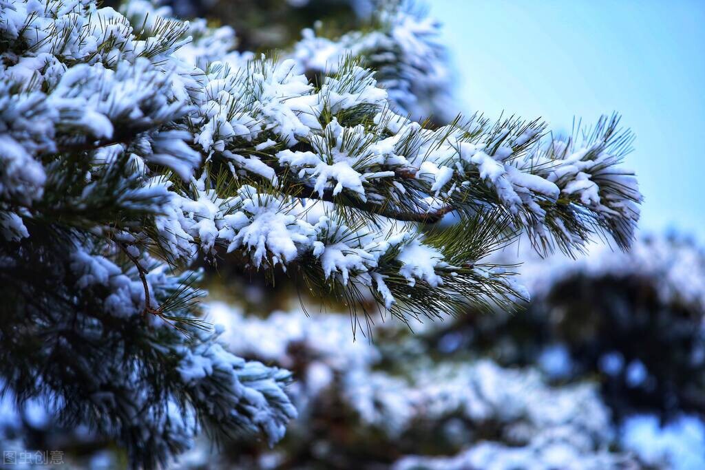總是感覺到自己的骨縫裡有風、寒、濕怎麼辦？ 今天劉醫生給你出招
