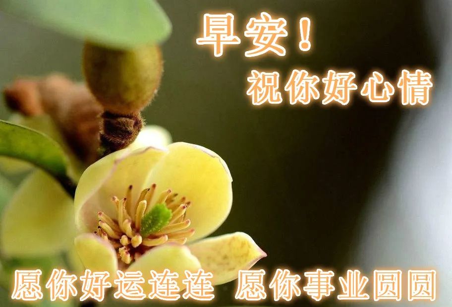 温暖的春天早上好朋友圈祝福语短信大全2022最新 和气能交天下友图片