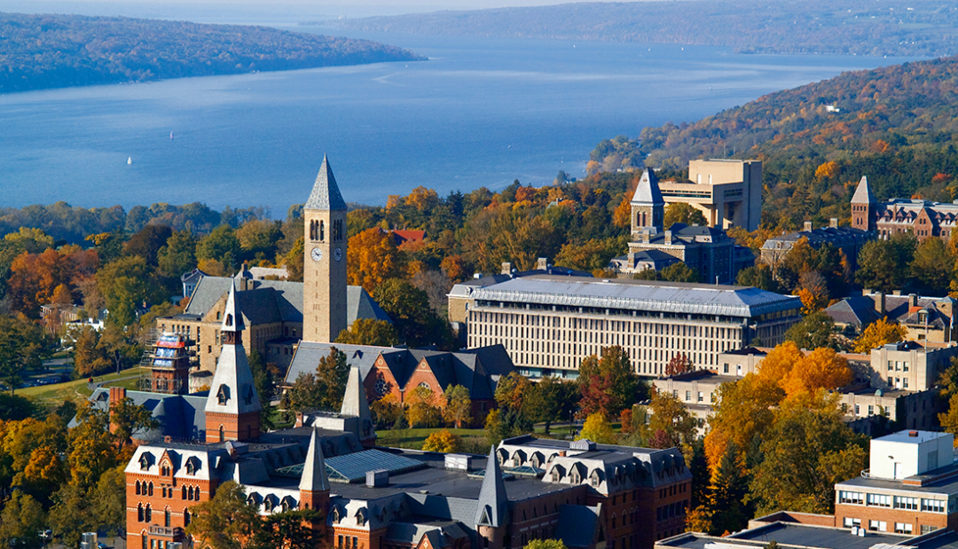 2022年QS世界大学排名出炉！美本哪些专业世界最强？