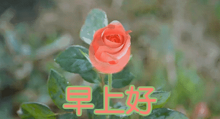 微信漂亮的早上好祝福图片 早晨好祝福语说说 好事好运跟你跑图片