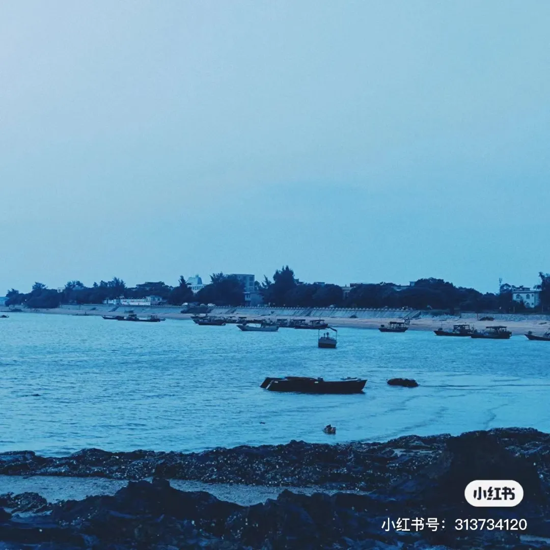 北海隔壁，广西这座安逸老城！高铁直达，嗦粉水果自由，早该火了