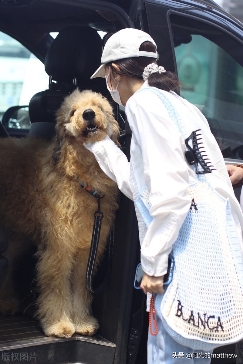 宋妍霏白色外套牛仔裤现身机场，秀马甲线身材好