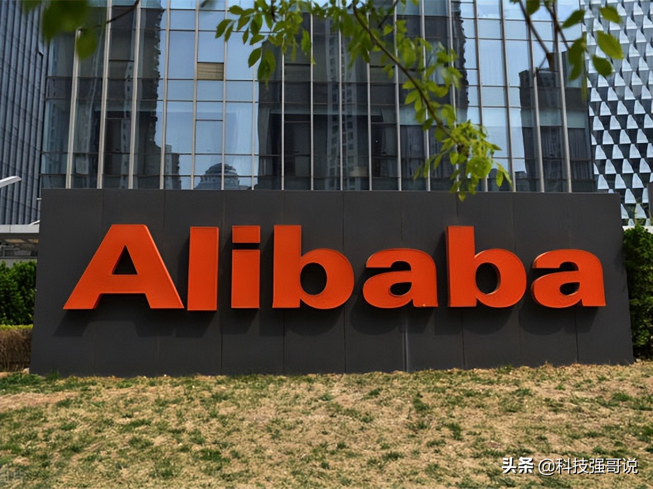 结果正式宣布，中芯国际赢了