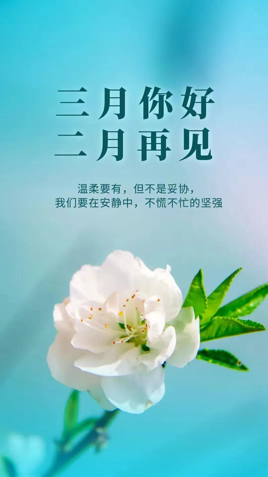 三月你好二月再见文案,适合朋友圈发的唯美祝福句子配图片