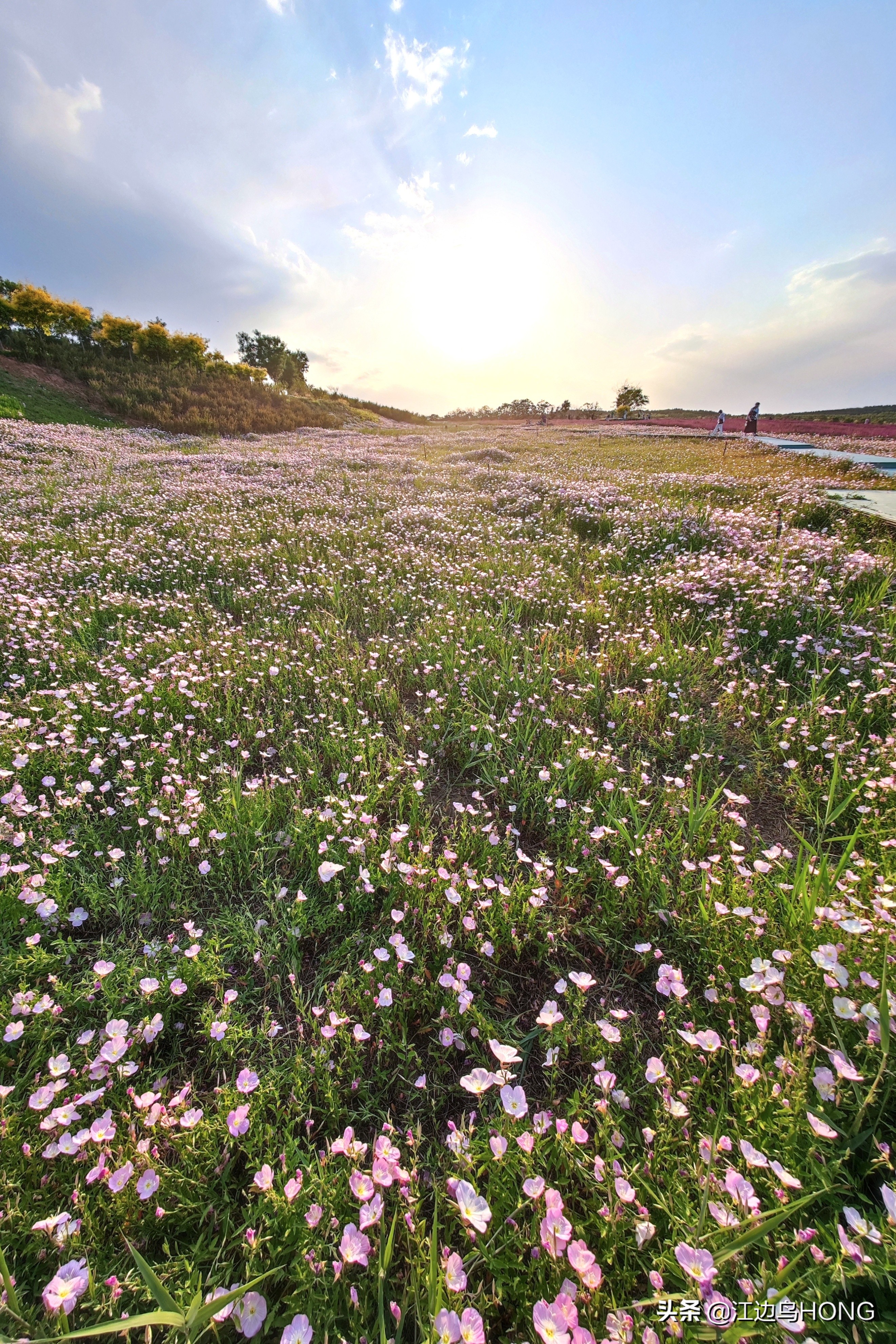 小米11 Ultra超广角的震撼（大片多图）