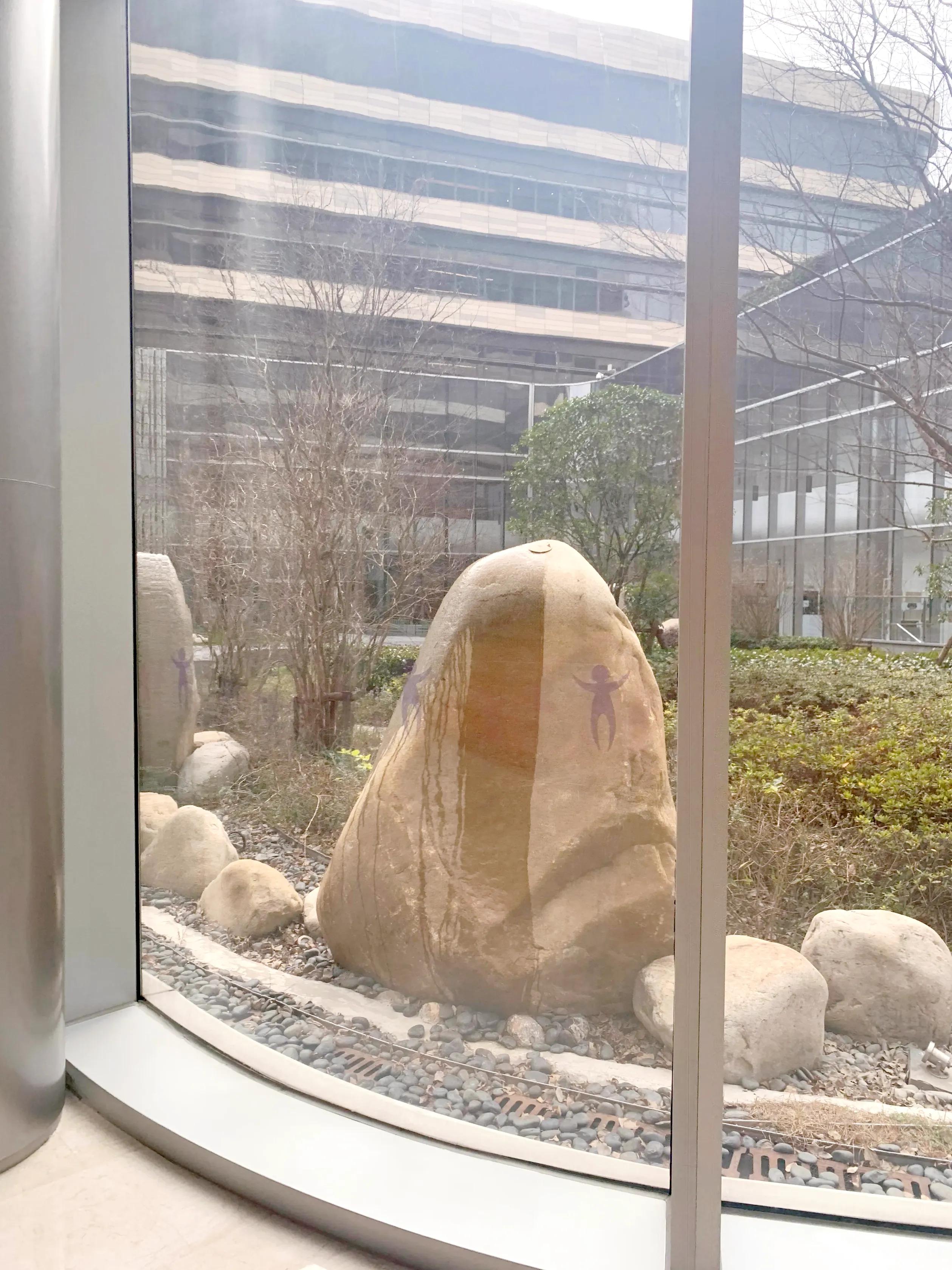 花了上千挂号费去了次私立医院，朋友以为我在酒店度假