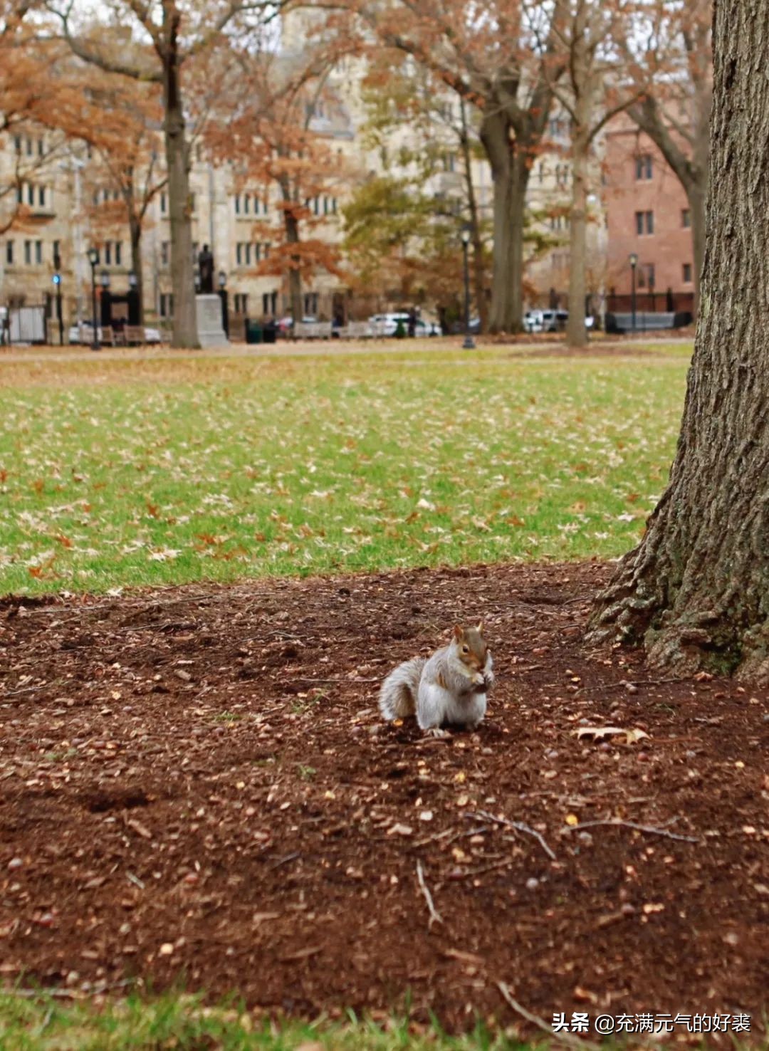 我，35岁，在耶鲁留学是一种什么幸福体验？