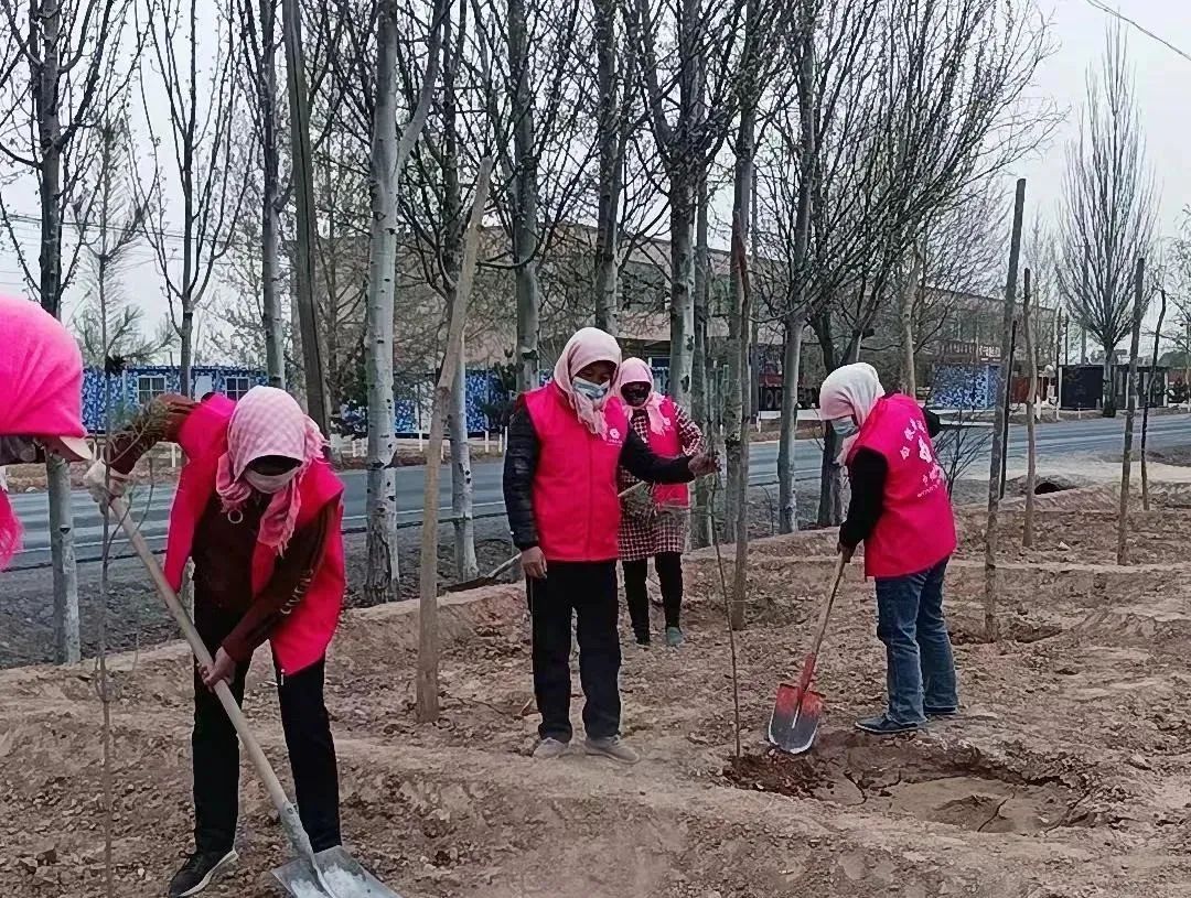 不负春光 “植”此青绿|白银市各级妇联积极组织开展义务植树活动