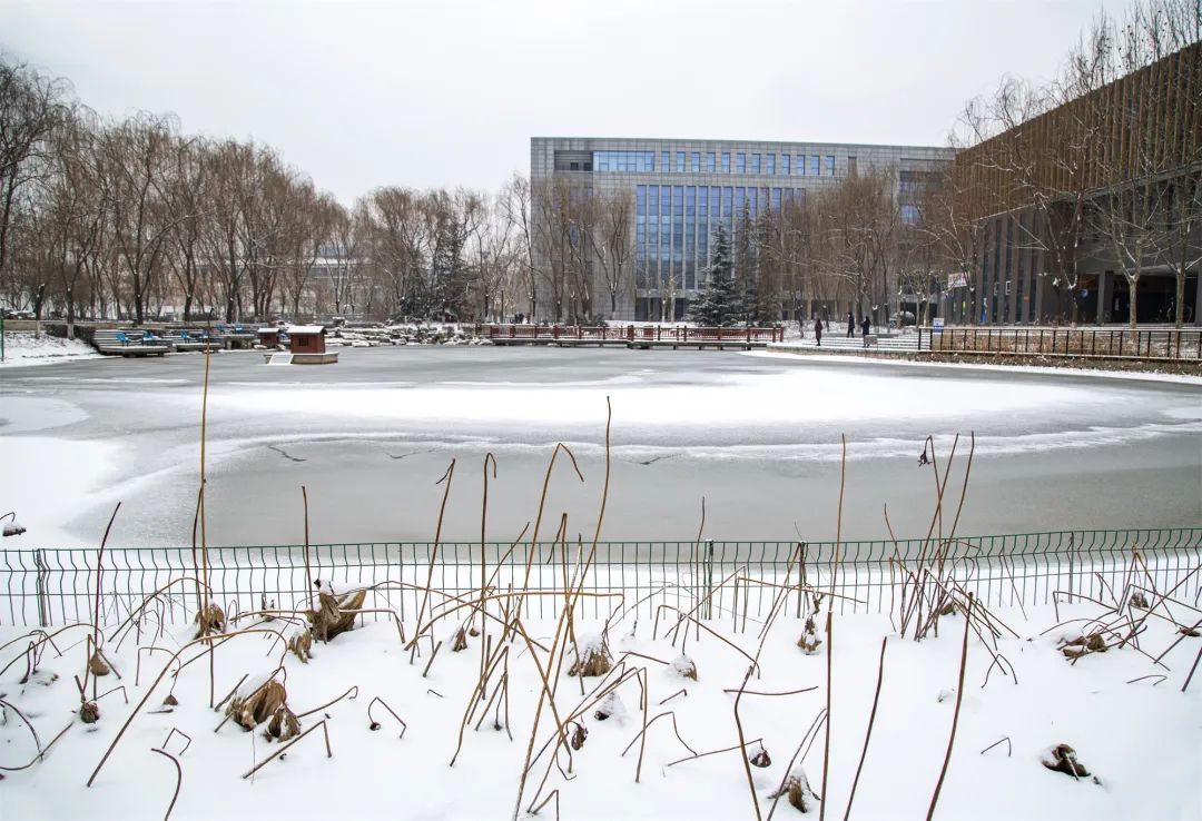 开年瑞雪，师大校园寂静如诗