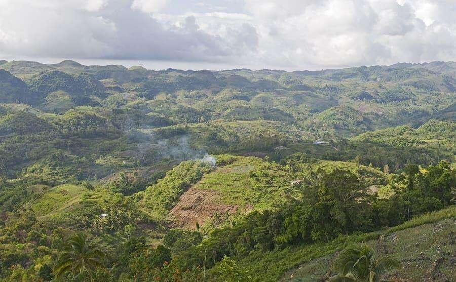 二战中最后一个投降的日本兵，不信日本战败，丛林中坚持战斗29年