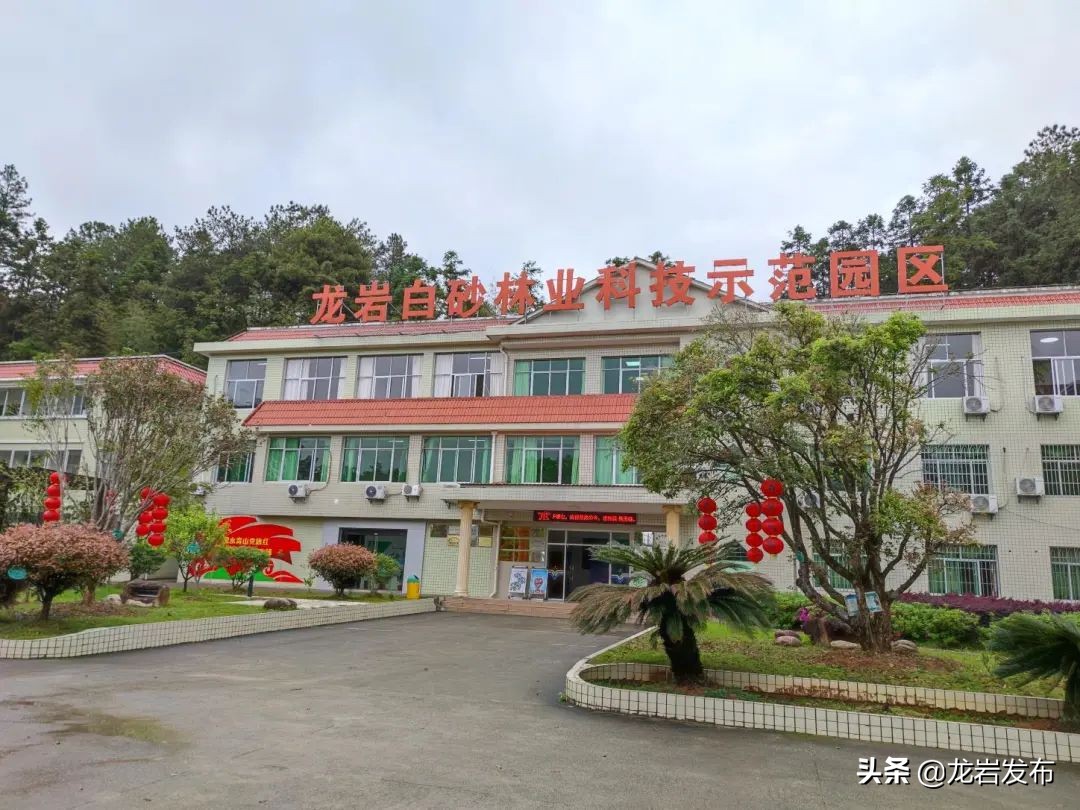 龙岩这里，科技赋能助力“双碳”