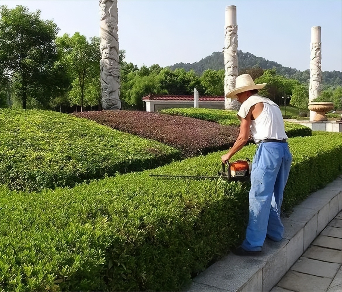 简易施工合同书（园林绿化工程施工合同）